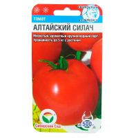 v8_24C0_34ec5