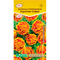 Бархатцы КОРОЛЕВА СОФИЯ отклоненные (0,2 гр)