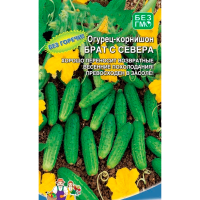 Огурец Брат с Севера - корнишон