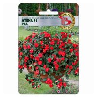 02Би3238 Бальзамин Валлера махровый ампельный  Атена F1 Ред NDS