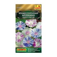 02Аэ1610 Ипомея пурпурная Арлекино, смесь сортов