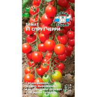 томат Спрут черри F1