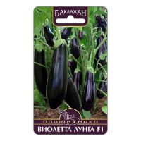 02Би2887  Баклажан Виолетта Лунга F1 NDS