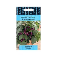 02По5058 Баклажан Медальон  (сер.Четыре лета) (А) (ЦВ) 5 шт,