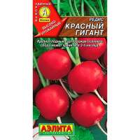 Редис Красный гигант