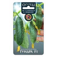 02Би2925 Огурец  Тундра F1 NDS