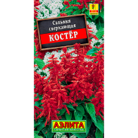 Сальвия Костёр