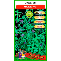 Сидерат Люцерна