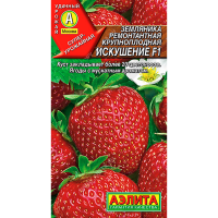 Земляника ремонтантная крупноплодная Искушение F1