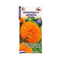 02Зо0516 Бархатцы Купид Оранж
