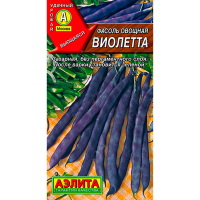 Фасоль Виолетта (вьющаяся)