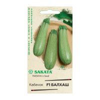 Га010419 Кабачок Балхаш F1 5 шт. (Саката) Н22