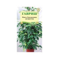 Га013573 Фикус Бенджамина Дунетти 0,01г Гавриш