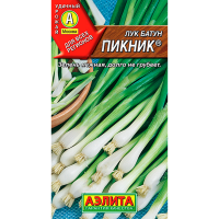 Лук Батун Пикник