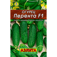 Огурец Перента F1 Лидер