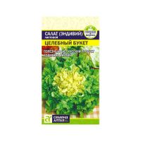 02Се2629 Зелень Салат Эндивий Целебный Букет-Сем Алт-цп 0,5 гр.  NDS