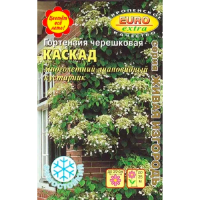 Гортензия Каскад черешковая