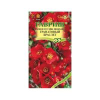 Га014607 Хеномелес японский Гранатовый браслет 0,3 г