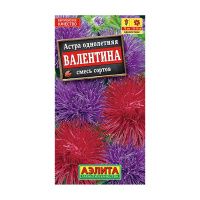02Аэ1256 Астра Валентина, смесь сортов