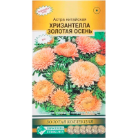 Астра ХРИЗАНТЕЛЛА Золотая осень китайская (5 шт)