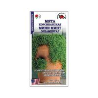 02Зо0788 Мята Мини Минт Орнаментал -Сотка- 5шт- корсиканская h-5см PanAm -500 NDS