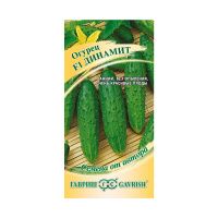 Га013421 Огурец F1 Динамит  Гавриш
