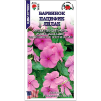 Барвинок Пацифик Лилак