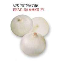 Лук репчатый “Бело бланко” F1