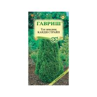Га014606 Туя западная Канди Страйп 0,05 г
