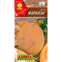 Дыня Маркиза