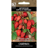 Земляника ремонтантная Сашенька(А) (ЦВ) 100шт