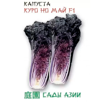 Капуста пекинская малиновая ”kypo но Май“ F1