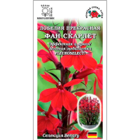 Лобелия Фан Скарлет бордовая