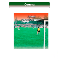 Газон Мастер Спорта 1,0кг