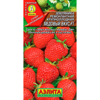 Земляника ремонтантная крупноплодная Медовый вкус F1