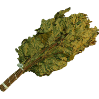 Веник ореховый ПРЕМИУМ ДМ (18)