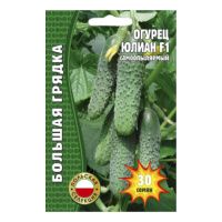 02Гр3102 Огурец Юлиан  F1  Польша 30 шт.  самоопыляемый NDS