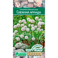 Армерия приморская СНЕЖНАЯ АРМАДА