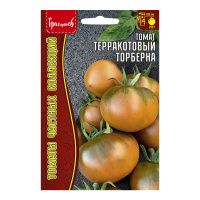 02Гр3031 Томат Терракотовый Торберна 10шт.-НОВИНКА NDS