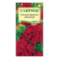 Га019536 Гвоздика бородатая (турецкая) Красная 0,1г