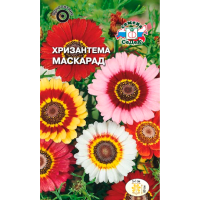Хризантема Маскарад (корейская, килеватая, смесь цветов)