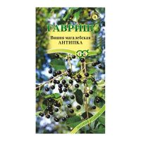 Га014593 Вишня Антипка (магалебка) 1 г