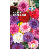 Василек Полка Дот (низкорослый, смесь цветов)