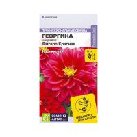 08Ге3546 Цветы Георгина Фигаро Красная махровая Семена Алтая цп 5 шт