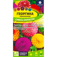 Георгина Черевички (высокорослая помпонная смесь цветов) Георгина Черевички (высокорослая помпонная смесь цветов)