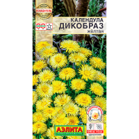 Календула Дикобраз жёлтая