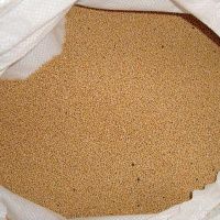 02Зо0831 Сидерат Горчица белая мешок 5кг -Сотка