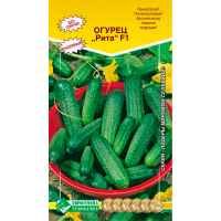 Огурец пчелоопыляемый РИТА F1 (10шт)