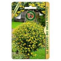 02Би3254 Санвиталия Куин оф Санлайт F1 NDS