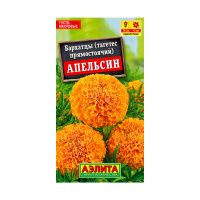 02Аэ1383 Бархатцы Апельсин прямостоячие
